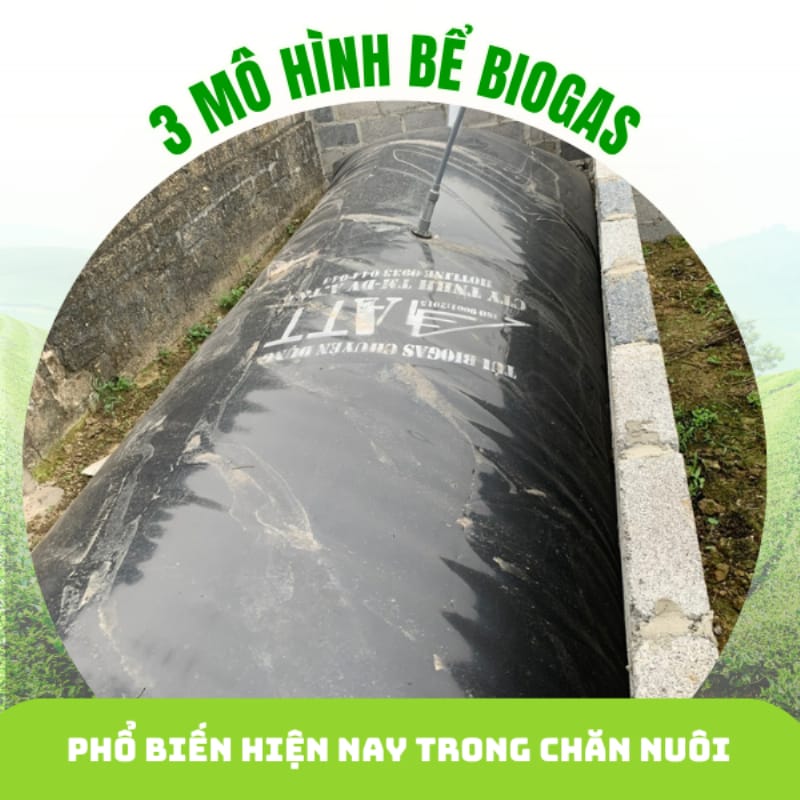 Một hầm biogas nhựa composite với thiết kế hiện đại, sẵn sàng lắp đặt